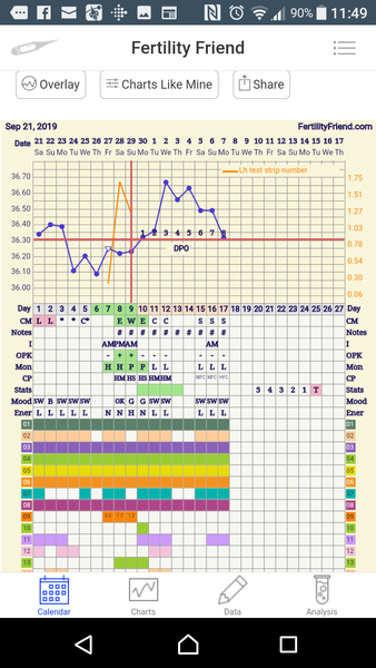 TTC after pregnancy loss 32 - the penguin huddle
