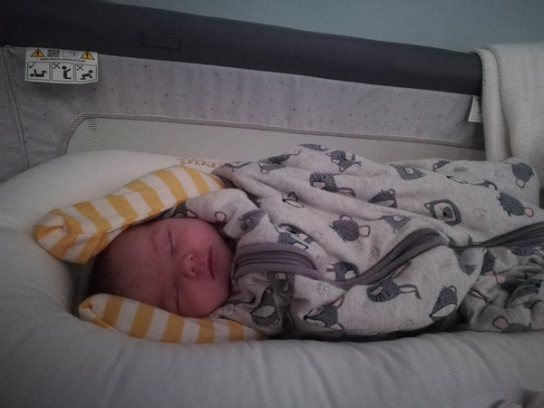 August/September 2019 Babies (Due in Sept 19)