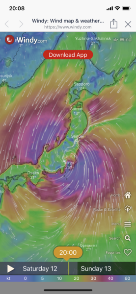 Rugby World Cup 2019