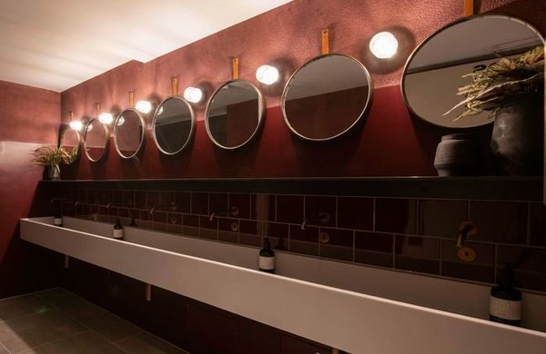 To ask how you all feel about mixed sex loos and wards?