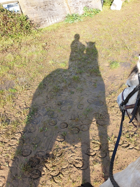 Wankerbastards and autumn weather, crunchy leaves, browning heather. We want crisp, cool days and crisp, cool wine, or beer or gin. But only a couple, as we smash moderatin'.