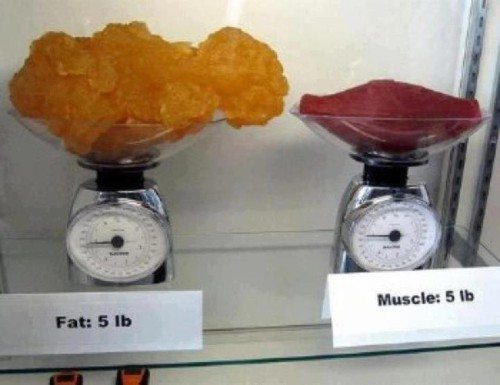 AIBU to ask you to critique my excercise and daily calories and explain why I'm not losing weight?!