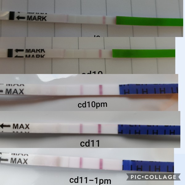 OPK... pretty much?