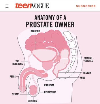 Teen Vogue calling women "non-prostate owners"
