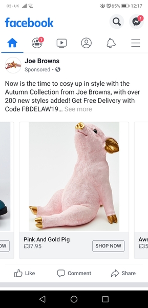 This pig is...erm... interesting