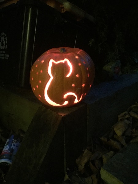 Hallowe'en Pet Photo (because you know you want to)