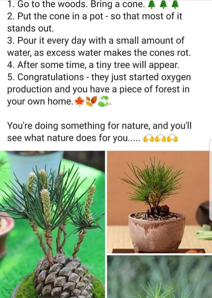 Any Witches Here? Part 9.