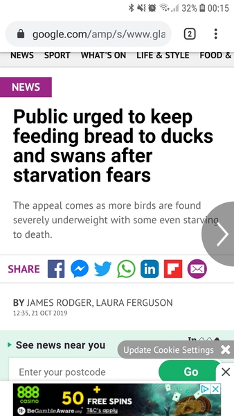 When feeding ducks...