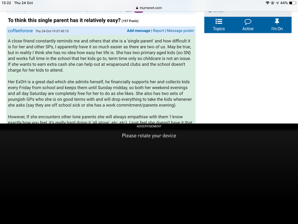 Huge adverts making the site unusable