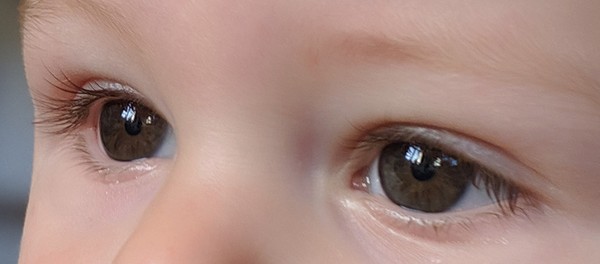 What colour are these eyes?