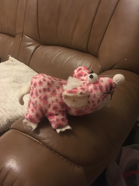 Does anyone recognise this cat toy?