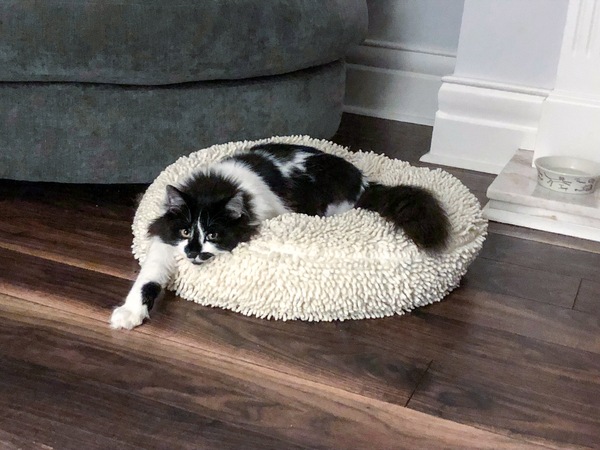 Struggling after losing our beautiful boy
