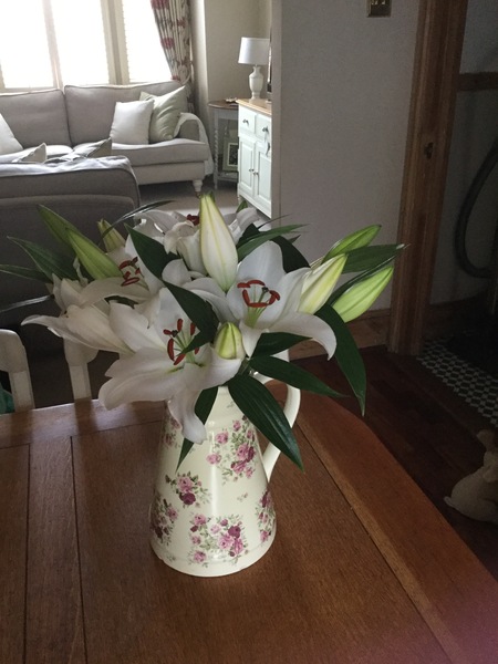 Westminstenders: Another day of fear and toil