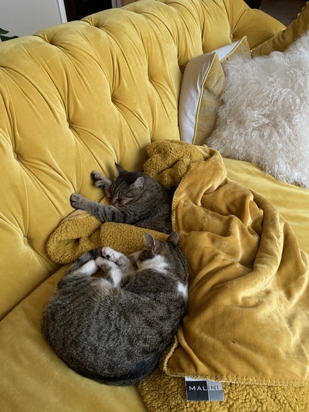 If you are sat on the sofa, what’s next to you?