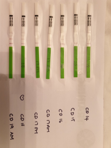 Positive opk?