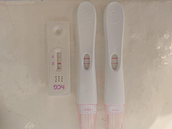 October ICSI/IVF