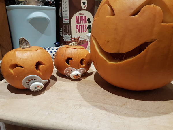 Show off your pumpkins.