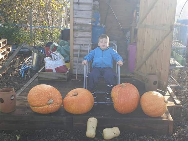 Wankerbastards and autumn weather, crunchy leaves, browning heather. We want crisp, cool days and crisp, cool wine, or beer or gin. But only a couple, as we smash moderatin'.