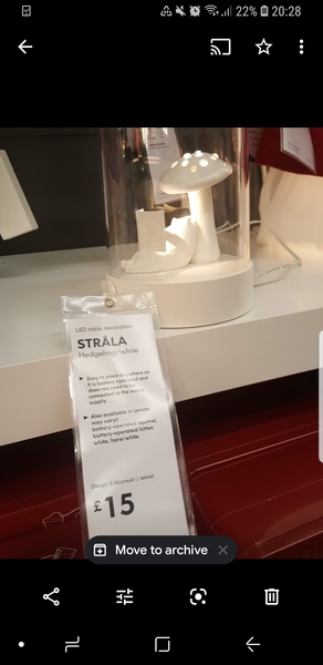 The perfect night light?