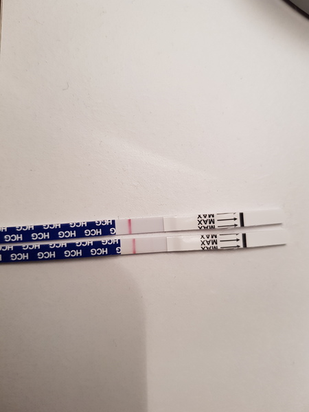 Can anybody see a line on my test?