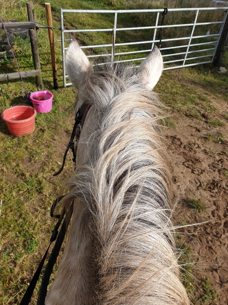 Wankerbastards and autumn weather, crunchy leaves, browning heather. We want crisp, cool days and crisp, cool wine, or beer or gin. But only a couple, as we smash moderatin'.