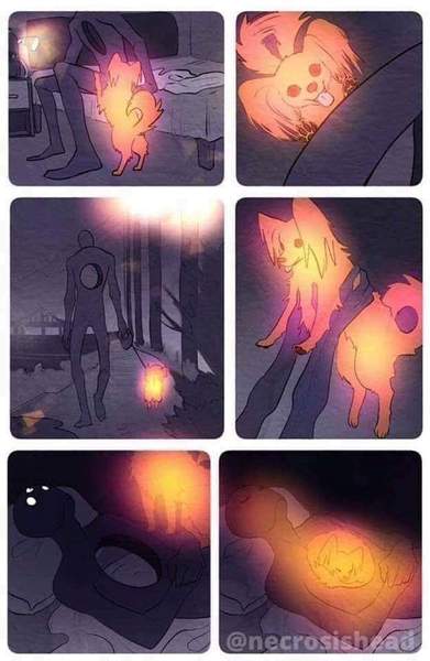 To ask you not to forget this about your dog...