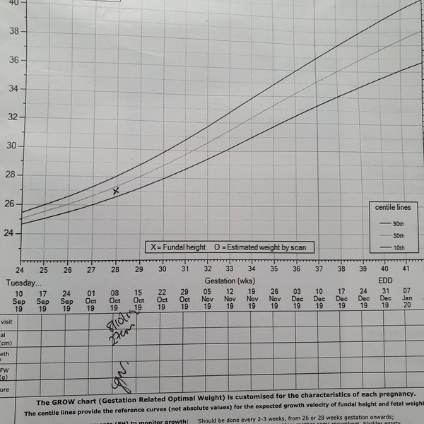 December 2019-Thread 2