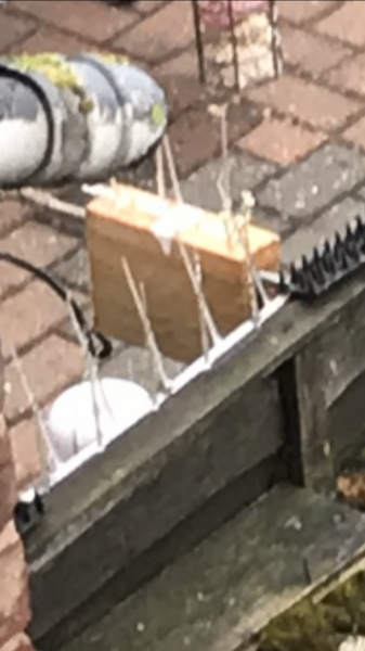 Neighbour’s ‘booby traps’ and MH
