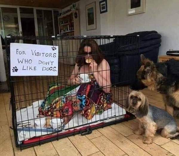 To think that a “doggy party” really is the final straw