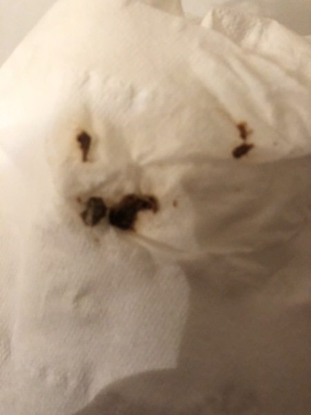 I did a thing that I might regret..