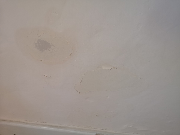 Anyone know what type of damp this is?