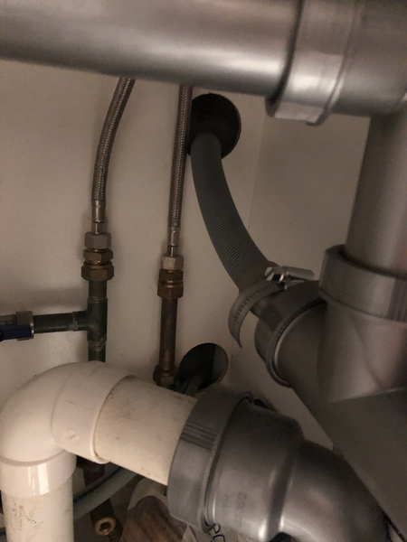 Dishwasher help - calling Pigletjohn?