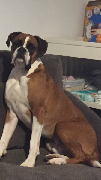 Daily menu - please come and write what you eat