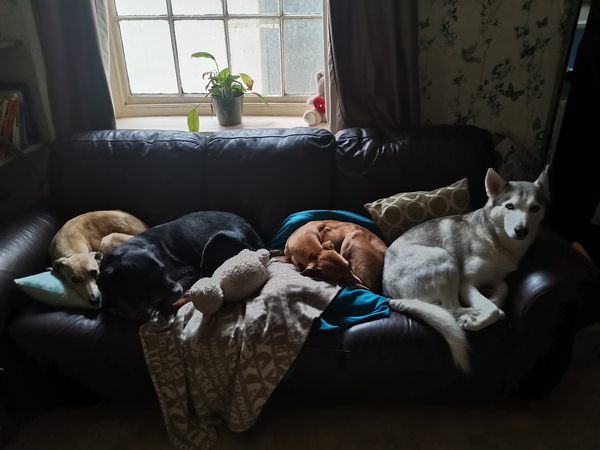 If you are sat on the sofa, what’s next to you?