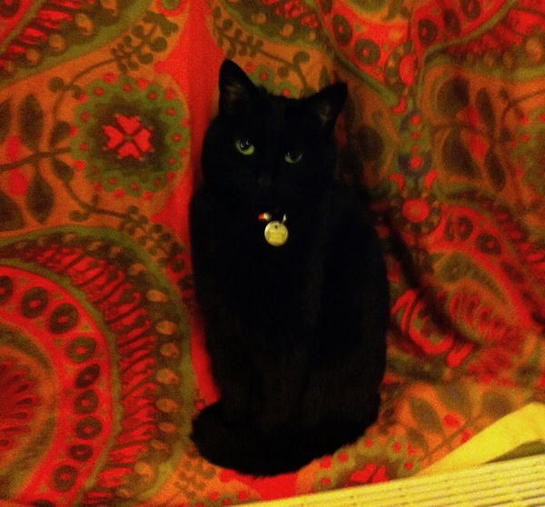 Westminstenders: The Slow No