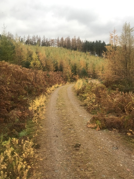 Running thread number 14