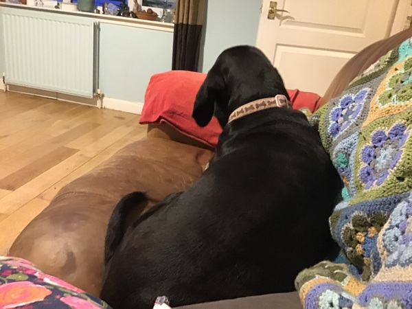 If you are sat on the sofa, what’s next to you?