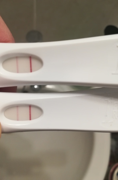 Pregnancy test lines