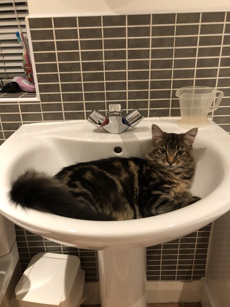 But I need to clean my teeth!!
