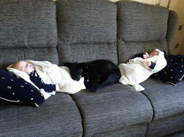 Patterdale terriers and babies.....