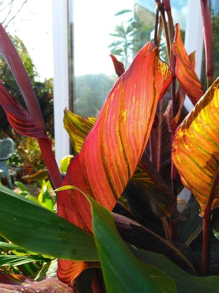 The Reconciliation Cafe