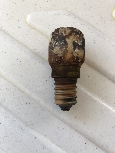 Oven bulb