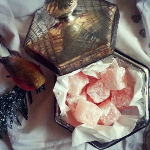 Christmas snowed in novel
