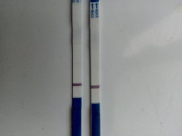 Instant evaporation lines or faint positive?
