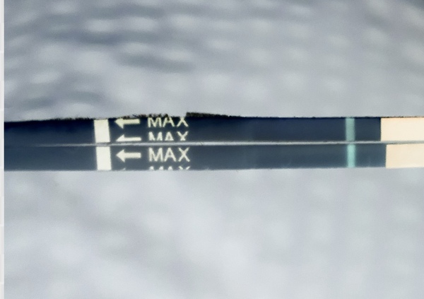 Am I going crazy or is this a faint positive?