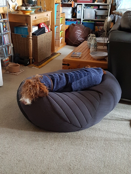 Drying Coat