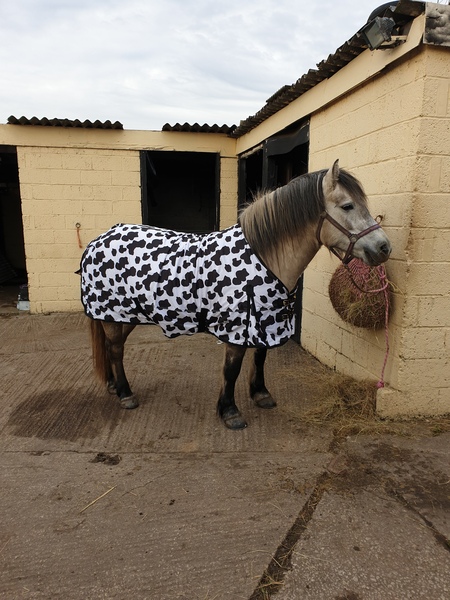 Wankerbastards and autumn weather, crunchy leaves, browning heather. We want crisp, cool days and crisp, cool wine, or beer or gin. But only a couple, as we smash moderatin'.