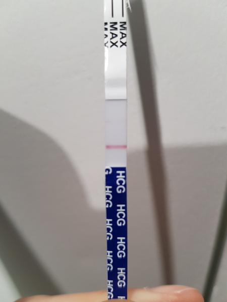 Can anybody see a line on my test?