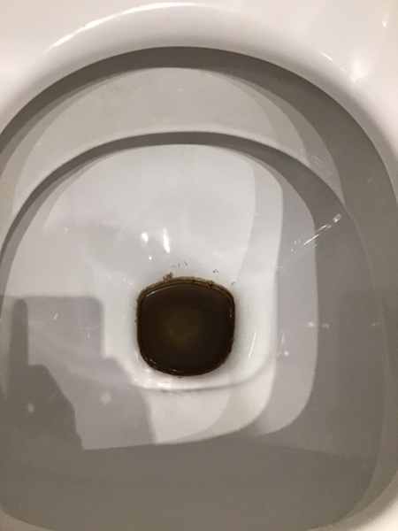 Sheeeeeet! How do I clean this loo?