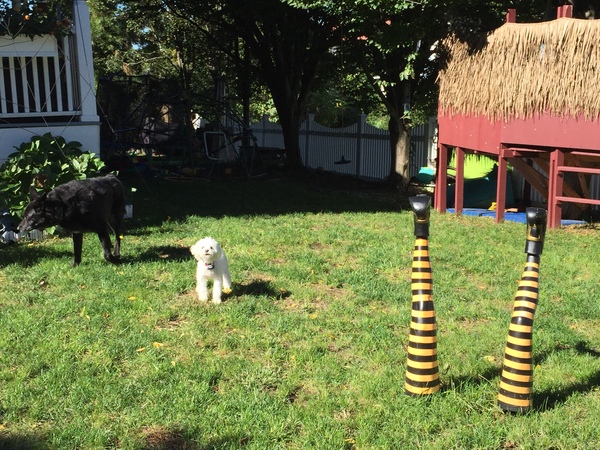 When do you put up your Halloween decs?